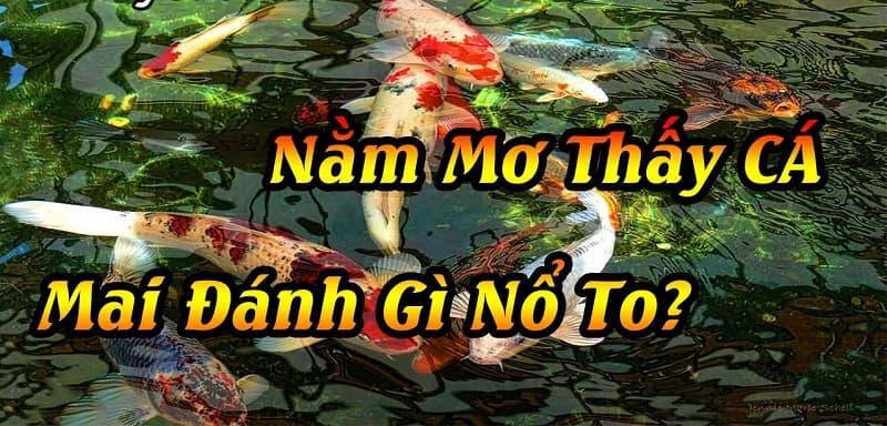 Nằm mơ thấy nhiều có ý nghĩa gì, đánh con gì chuẩn xác nhất?