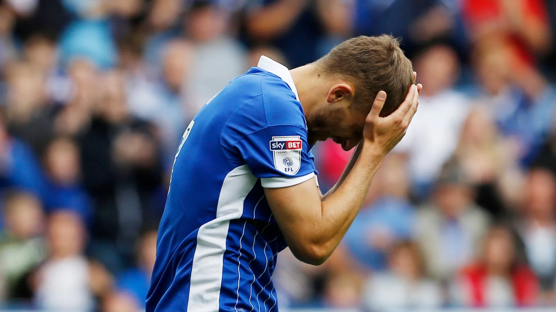 Almen Abdi trong màu áo Sheffield Wednesday nhìn về phía trước
